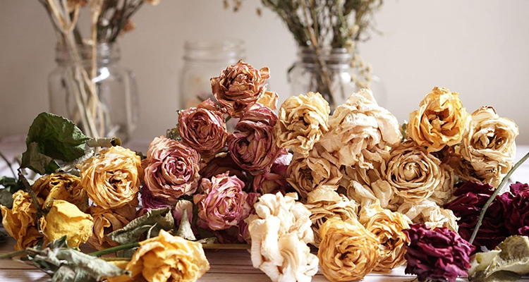 Blomster