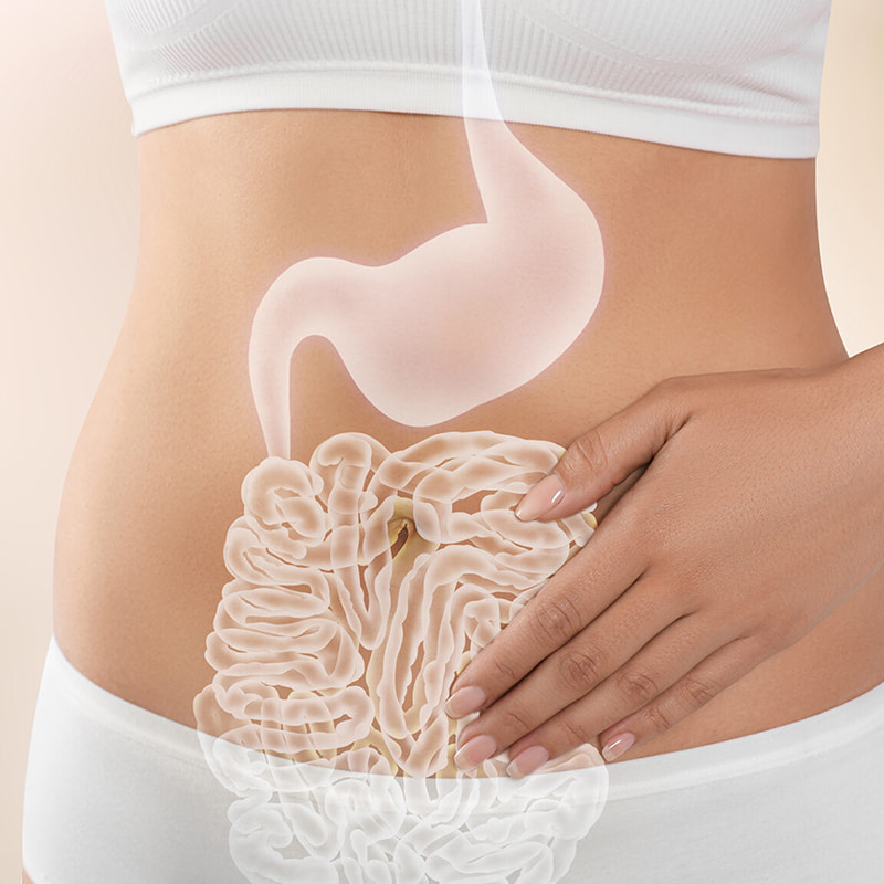 Lavtemperaturcentrifuge til gastrointestinal sundhed frysetørrede produkter